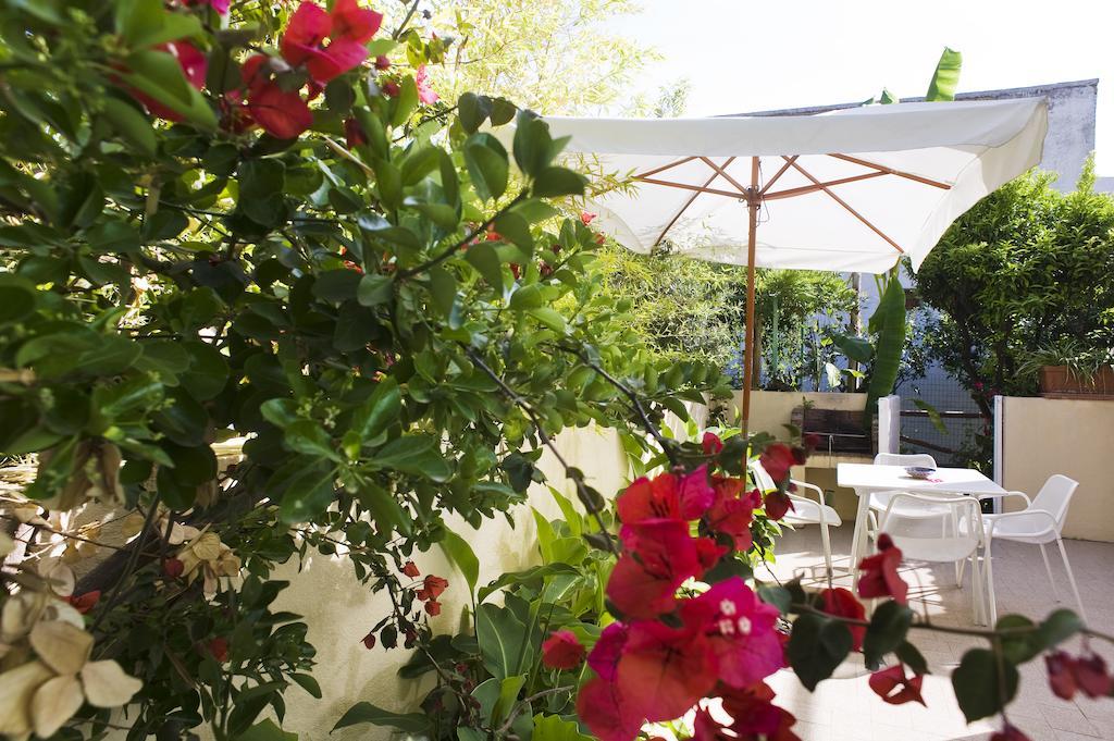 Appartamenti Le Pleiadi - Succhivo D'Ischia Sant'Angelo  Room photo